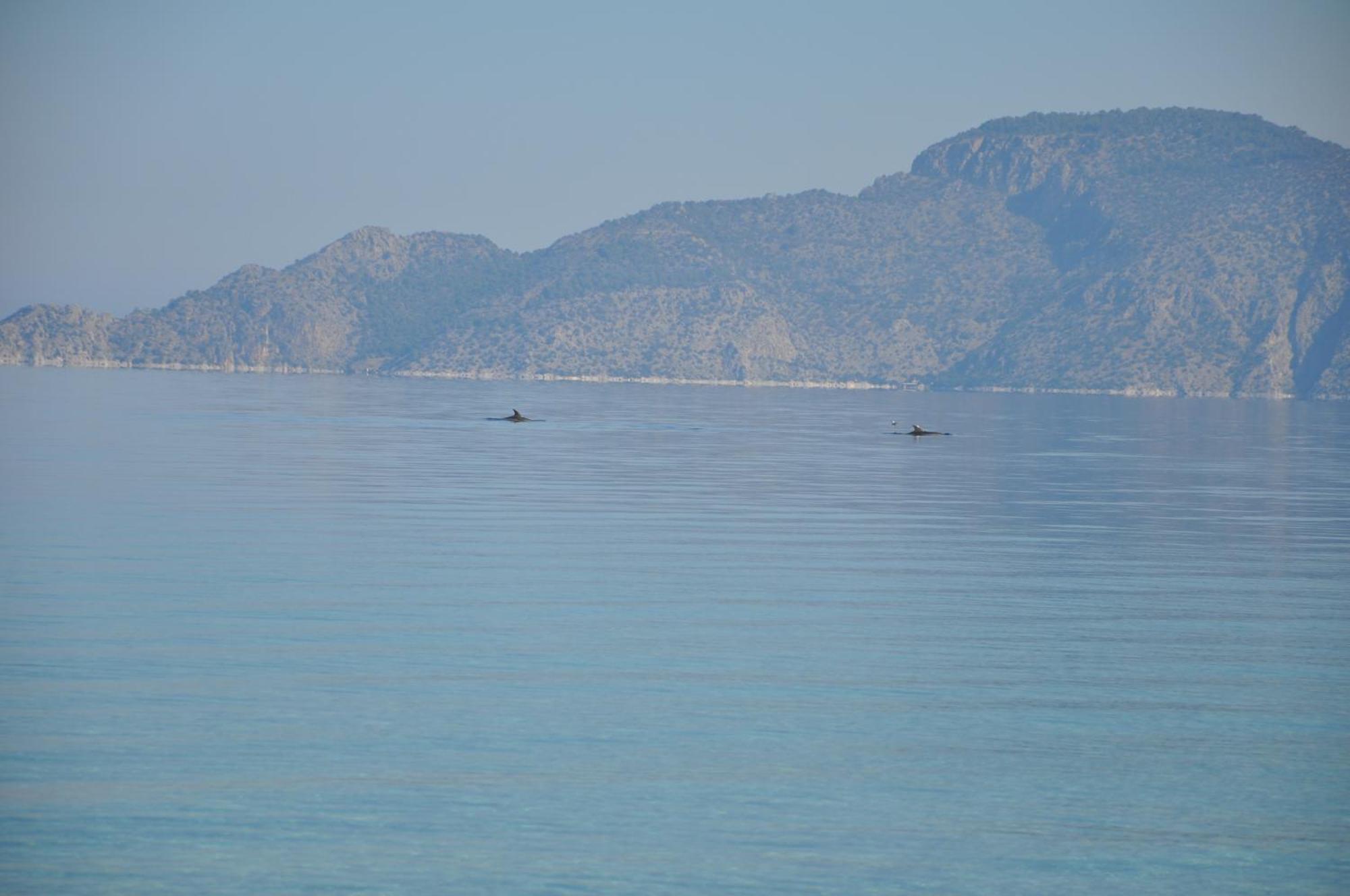 Villa In Kalloni Direkt Am Meer, Tolle Aussicht Экстерьер фото